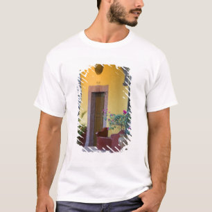 Camiseta México, San Miguel de Allende, Entrada de Arcada
