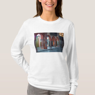 Camiseta México, San Miguel de Allende, O Jardin,