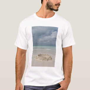 Camiseta México, Yucatan, Ilha Mujeres de