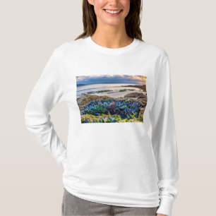 Camiseta Mexilhões