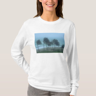 Camiseta Miami Beach, Flórida, ventos de furacão açoitando