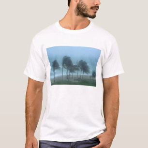 Camiseta Miami Beach, Flórida, ventos de furacão açoitando