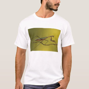 Camiseta Michigan, Rochester Hills. Louva-a-deus