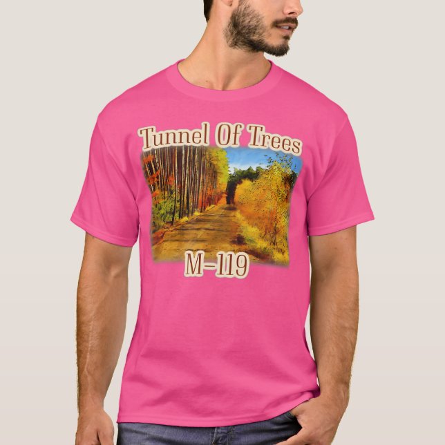 Camiseta Michigander Excelente Lagos M-119 Túnel De T (Frente)