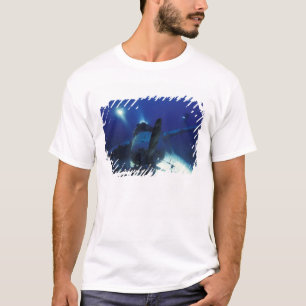Camiseta Micronésia, Palau, Patrimônio Mundial. Divers
