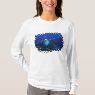 Camiseta Micronésia, Palau, Patrimônio Mundial. Segunda Gue