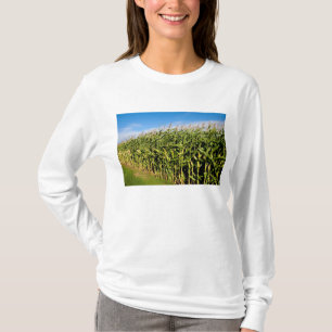 Camiseta milharal e céu