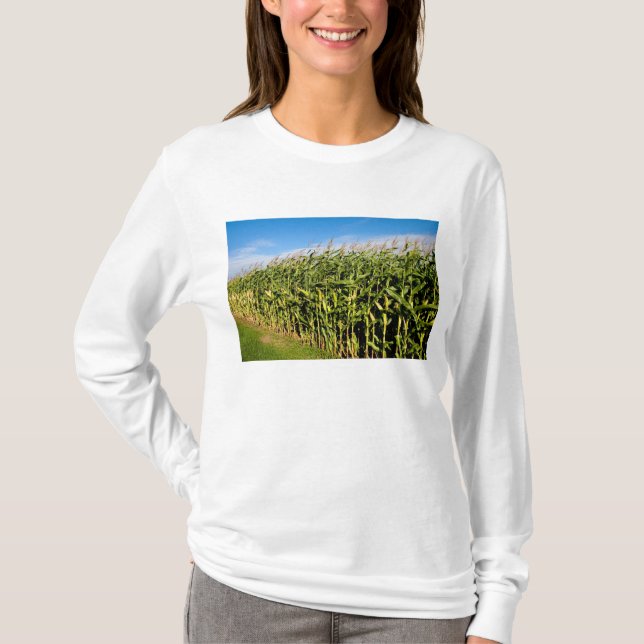 Camiseta milharal e céu (Frente)