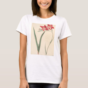Camiseta Milho-Bandeira magnífica