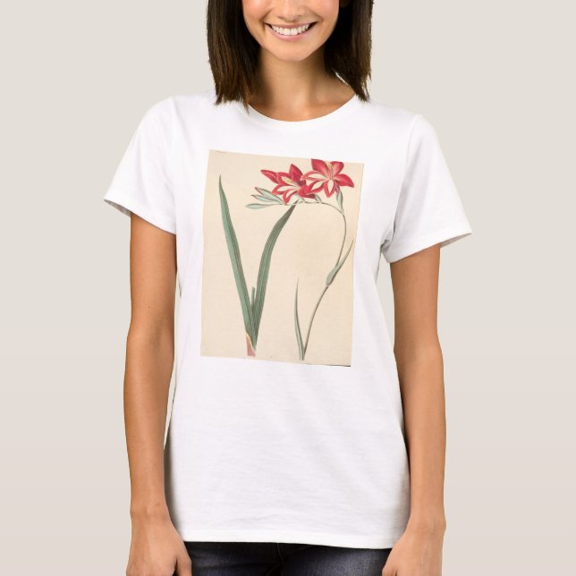 Camiseta Milho-Bandeira magnífica (Frente)