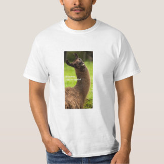Camiseta Minha mamã diz o Special de I´m