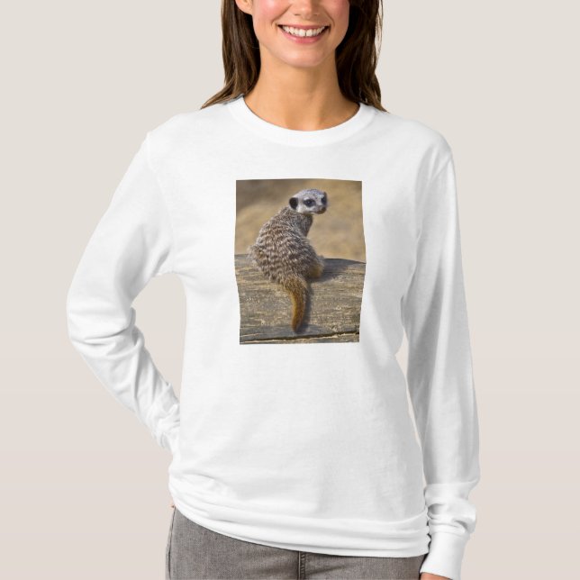 Camiseta Mini Kat Tee (Frente)
