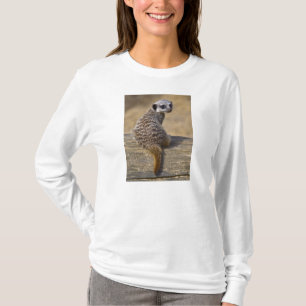 Camiseta Mini T do Kat