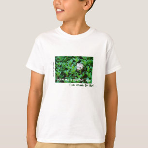 Camiseta Mint me um dia perfeito/mim vieram jogar