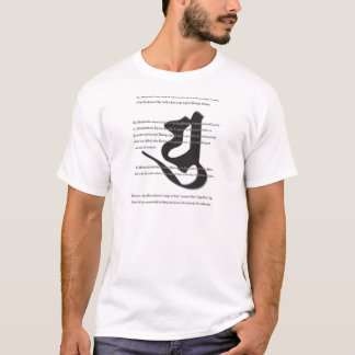 Camiseta miroku-bonji