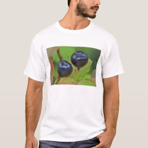Camiseta Mirtilos maduros no Flathead Nacional 2