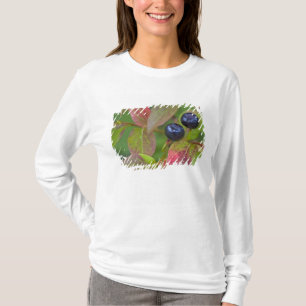 Camiseta Mirtilos maduros no Flathead National