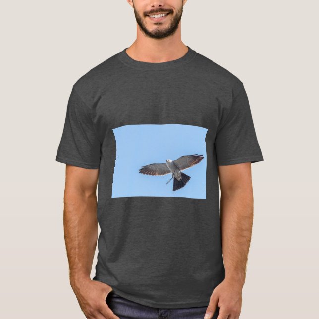 Camiseta Mississippi kite Oversized (Frente)