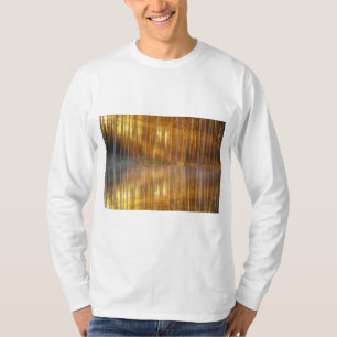 Camiseta Misty Forest Scene