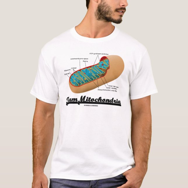 Camiseta Mitocôndria da equipe (humor de Mitochondrion) (Frente)