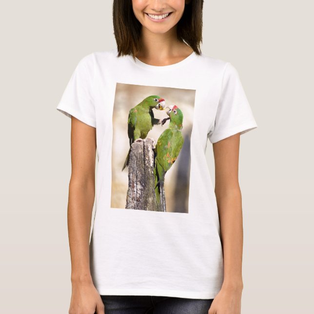Camiseta Mitred Parakeet em posto de madeira (Frente)