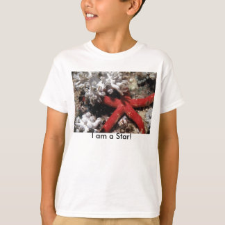 Camiseta Miúdo da estrela