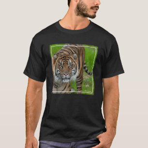 Camiseta modelo