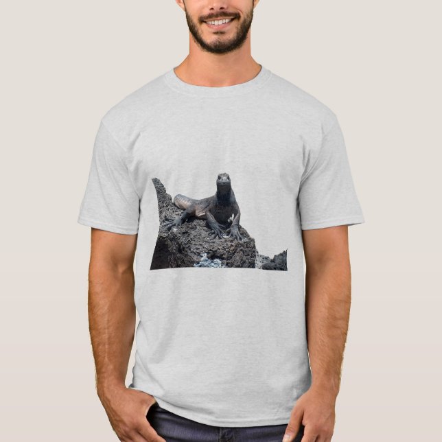 Camiseta Modelo básico do t-shirt (Frente)