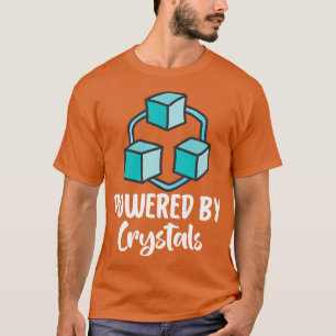 Camiseta módulo criptográfico 4