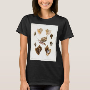 Camiseta Moluscos e Caracóis, Organismos Marinhos Antigos