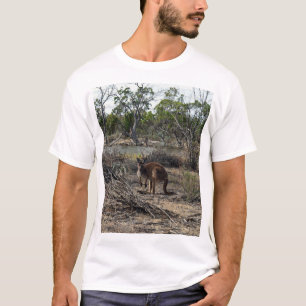 Camiseta Momento Tranquilo: Canguru Australiano em Billabon