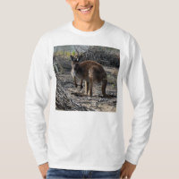 Momento Tranquilo: Canguru Australiano em Billabon