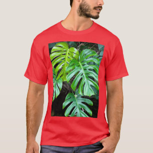 Camiseta Monstera Plant no Aquário do Tennessee