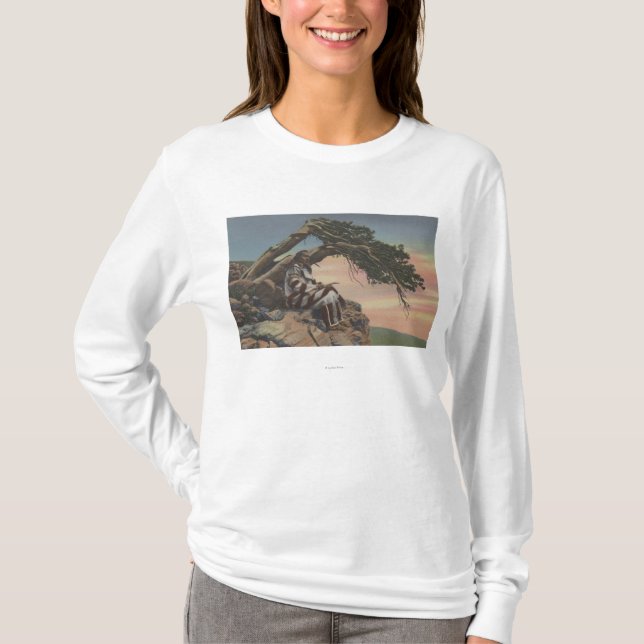 Camiseta Montana - chefe indiano no parque nacional de (Frente)