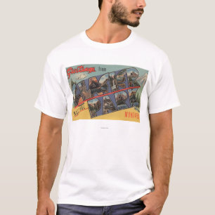 Camiseta Montana - parque nacional de geleira