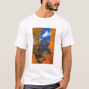 Camiseta Montanha emoldurada na folhagem de outono, CA