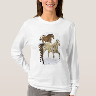 Camiseta Montanhas Big Horn, Cavalos correndo na neve