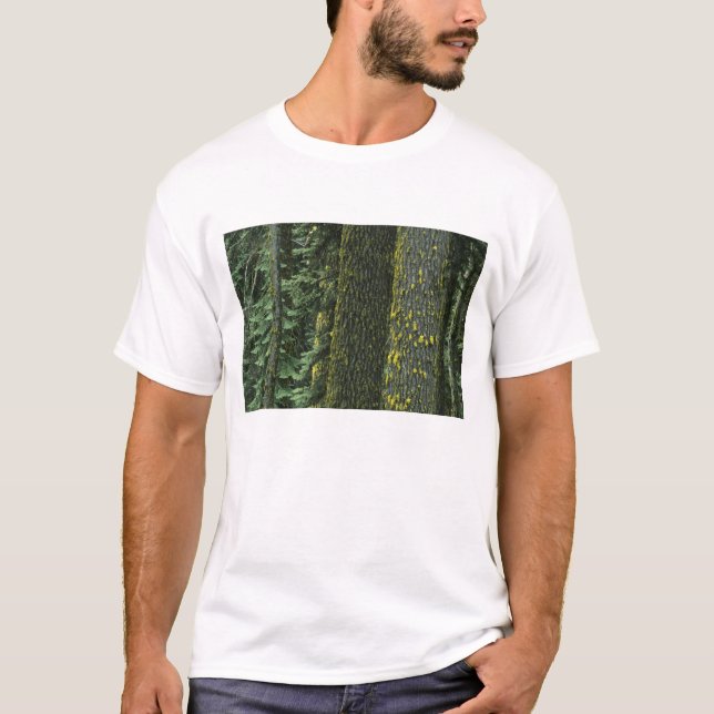 Camiseta Monte Ashland, Floresta Nacional Rogue River, (Frente)