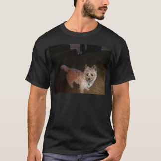 Camiseta Monte de pedras Terrier de Zoe