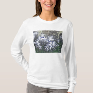 Camiseta Monte Everest