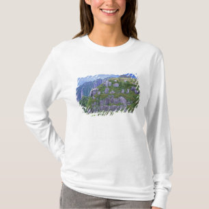 Camiseta Monte Nagata, Yakushima, Kagoshima, Japão