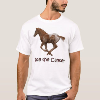 Camiseta Monte o Canter