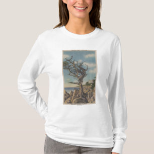 Camiseta Monterey, CA - árvore velha da bruxa em 17 milhas