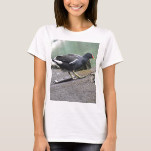 Camiseta Moorhen Ladies T Shirt