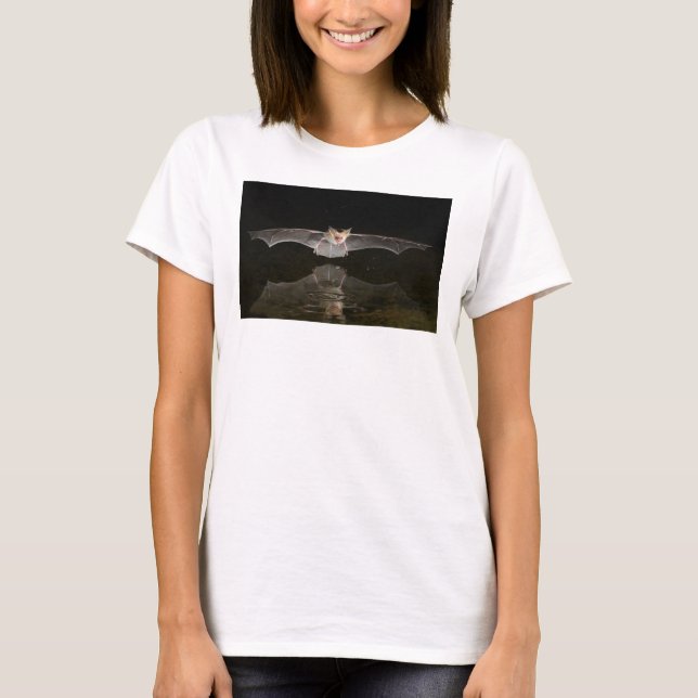Camiseta Morcego bebendo em voo, Arizona (Frente)
