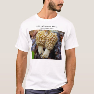 Camiseta Morels do amarelo (Michigan)