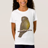 Morepork RURU NZ ave