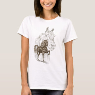 Camiseta Morgan Horse Art