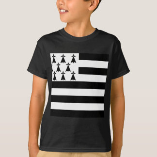 Camiseta Mostre suas cores - Bretagne