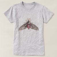 Moth